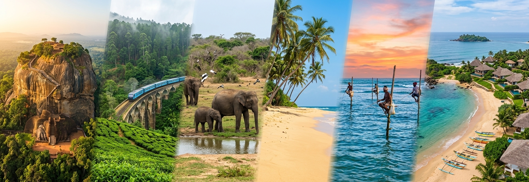 Sri Lanka Highlights & Coastal Bliss